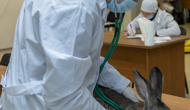 Все специальности важны