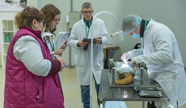 Все специальности важны